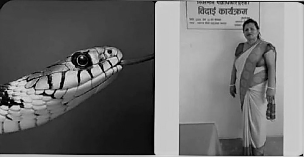 Sajilo Khoj