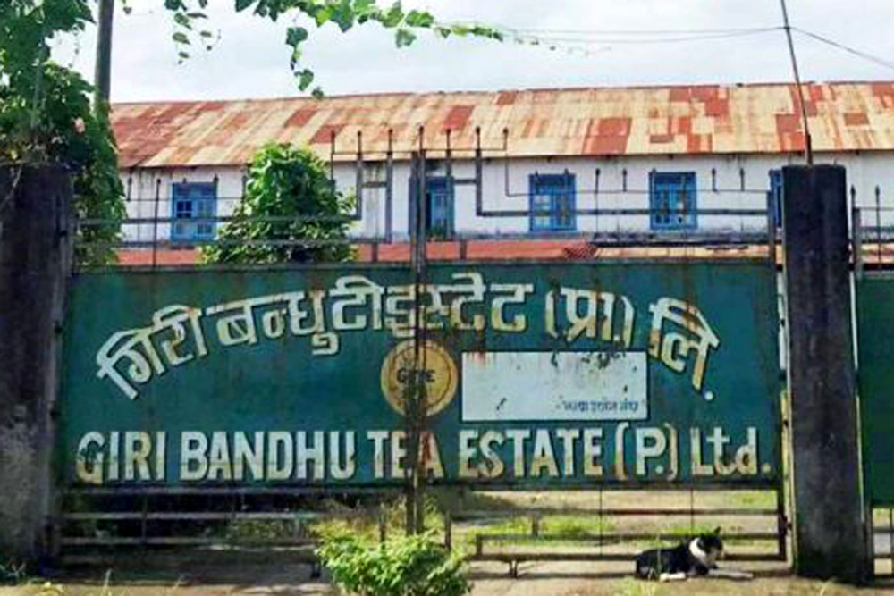 गिरीबन्धु टी–स्टेटको जग्गा प्रकरणमा छानबिन हुने : २८० बिघा बेच्न ऐन संशोधन