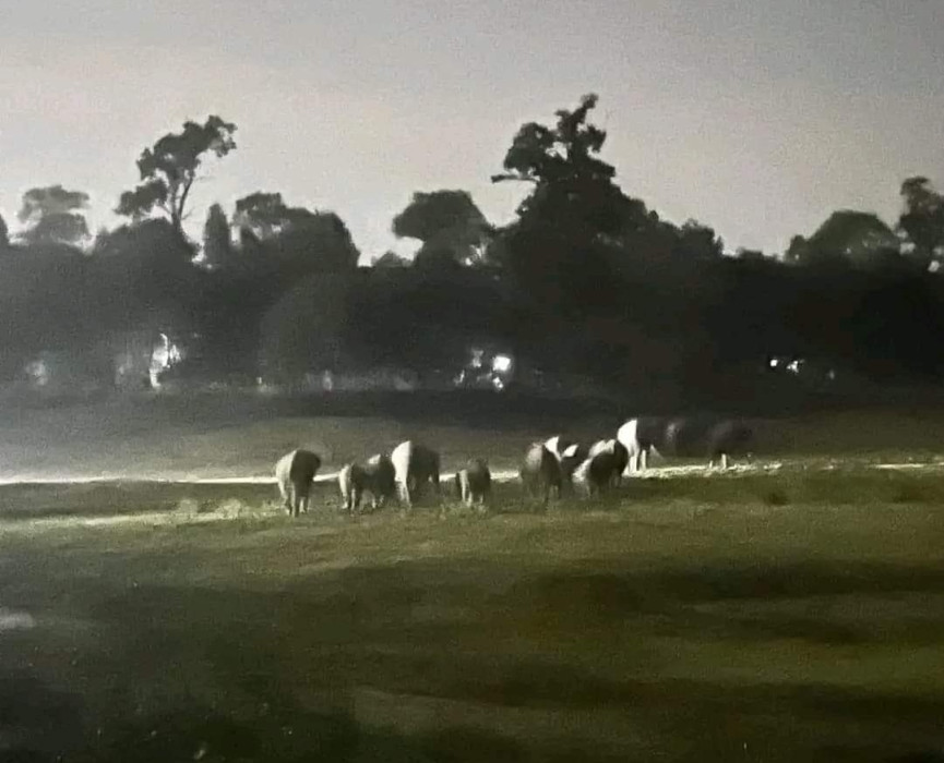 Sajilo Khoj