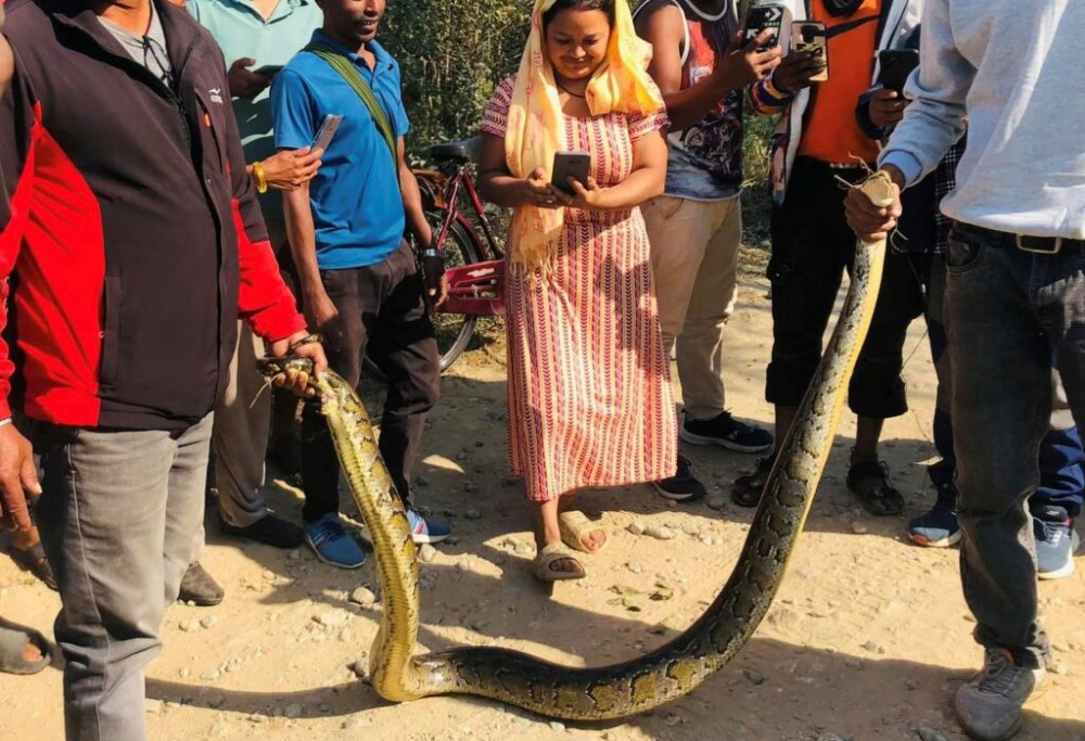 Sajilo Khoj