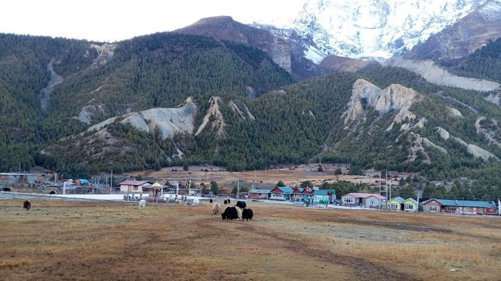 Sajilo Khoj
