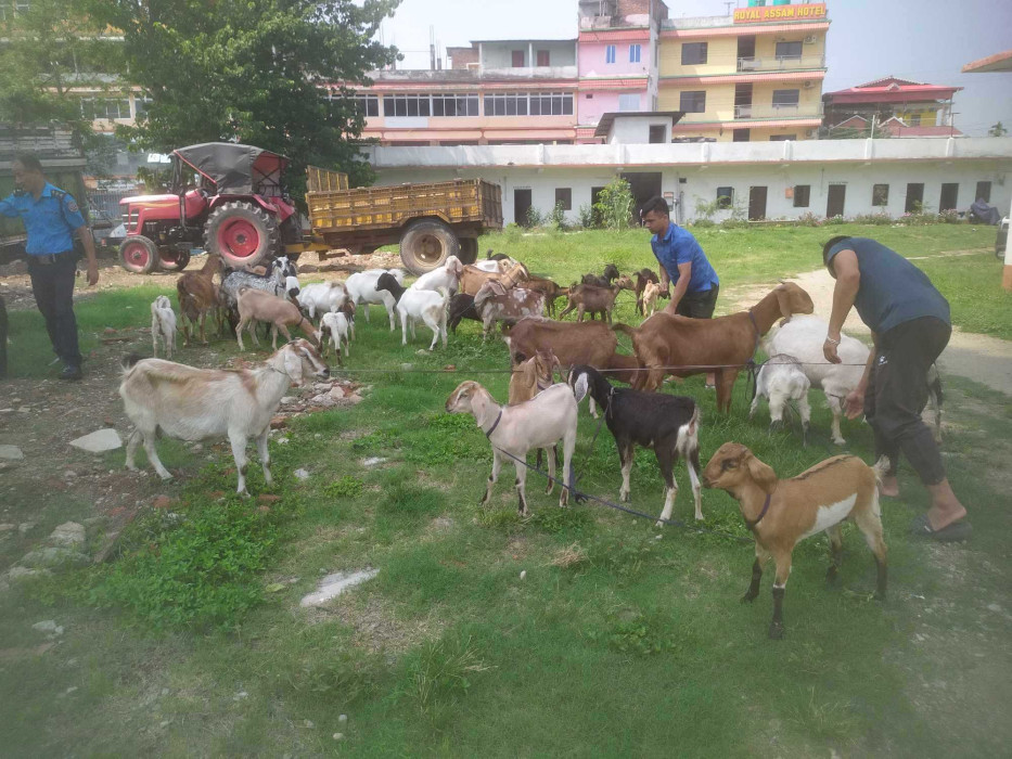 Sajilo Khoj