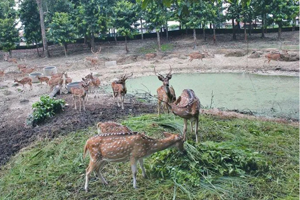Sajilo Khoj