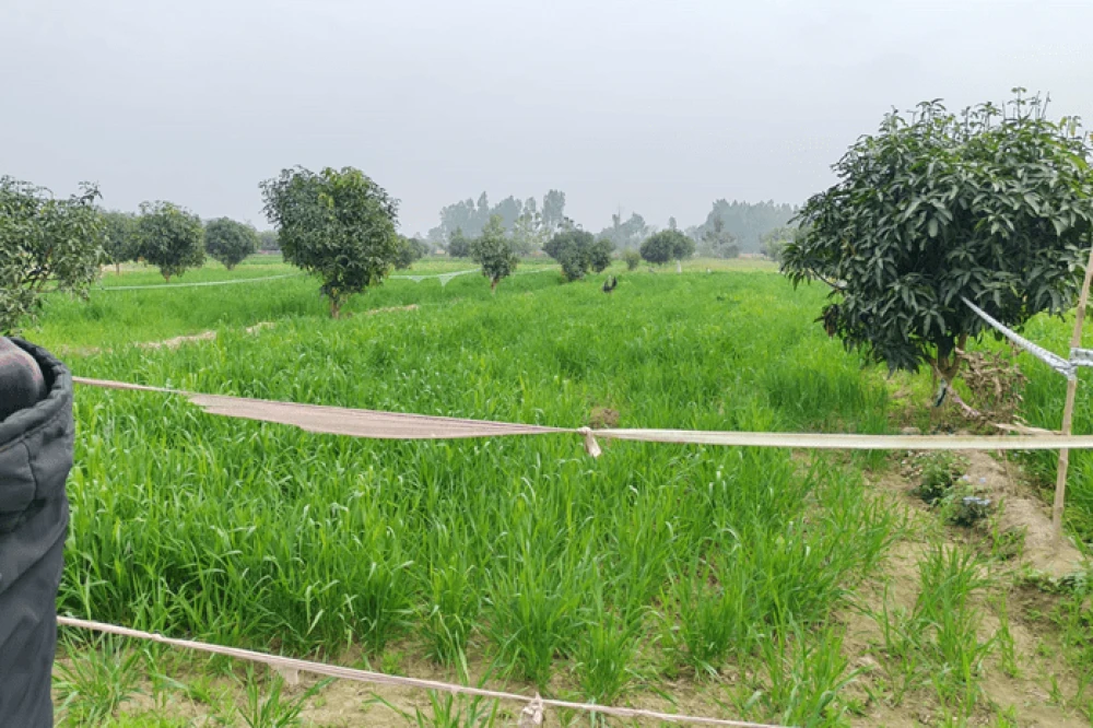 Sajilo Khoj
