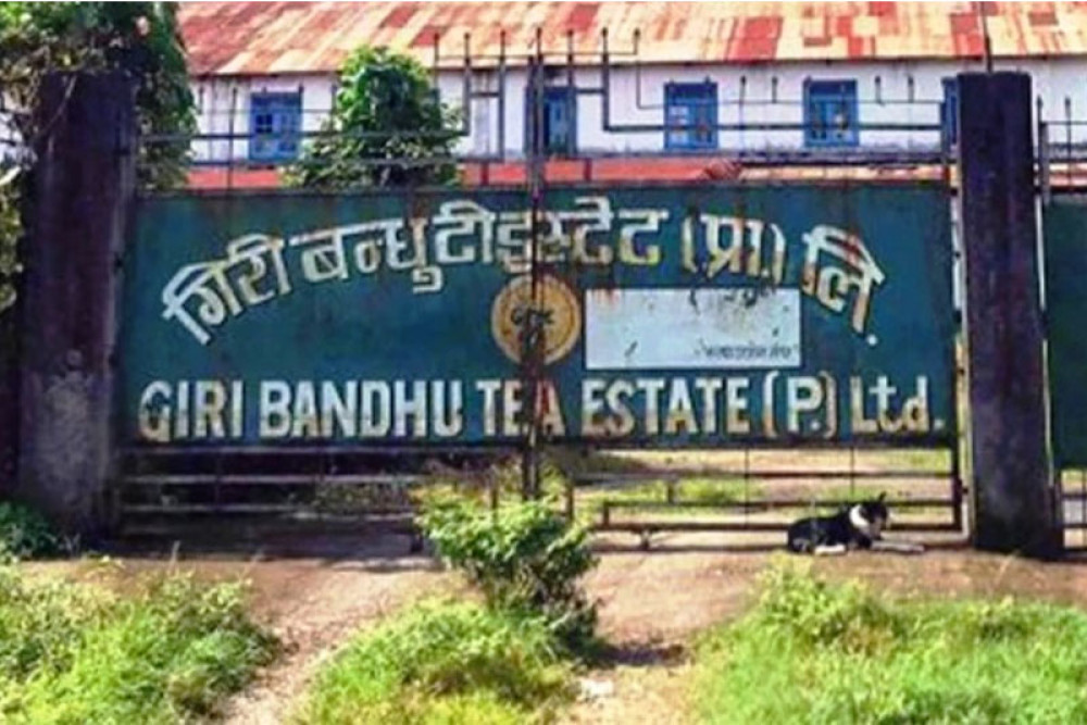 Sajilo Khoj