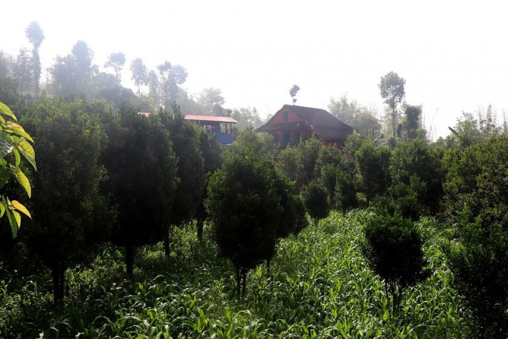 Sajilo Khoj