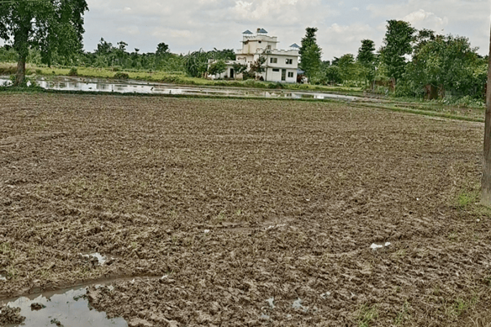 Sajilo Khoj