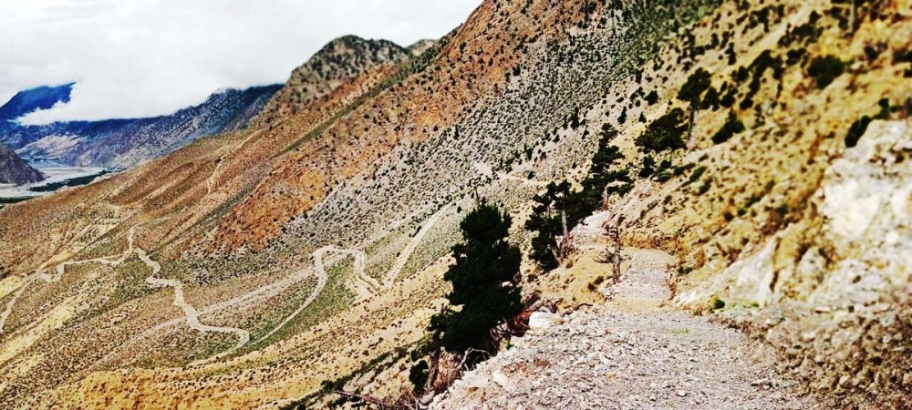 Sajilo Khoj