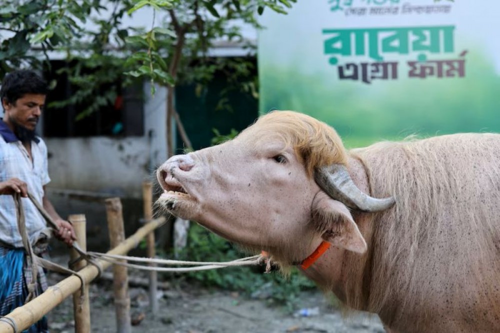 Sajilo Khoj