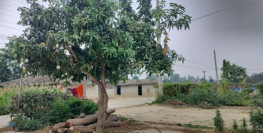 Sajilo Khoj
