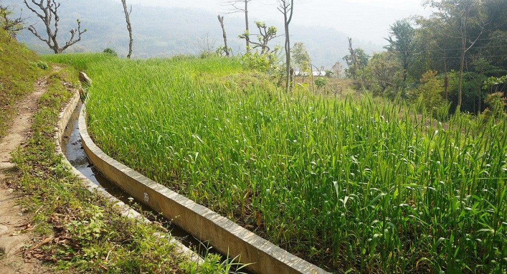 Sajilo Khoj