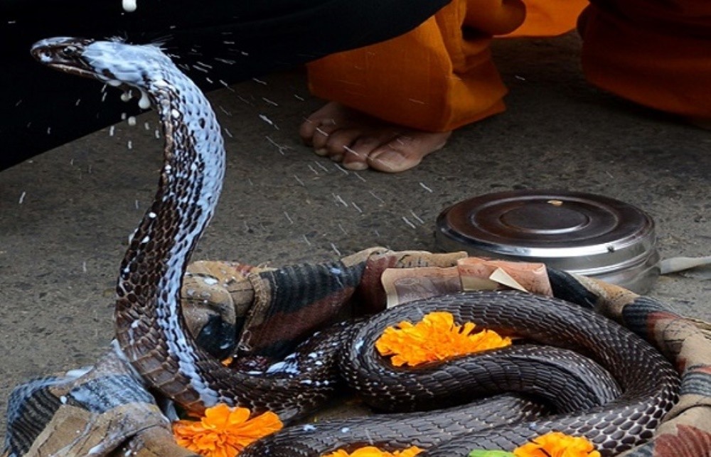 Sajilo Khoj